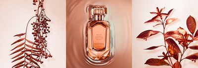 Tiffany & Co. Fragrance