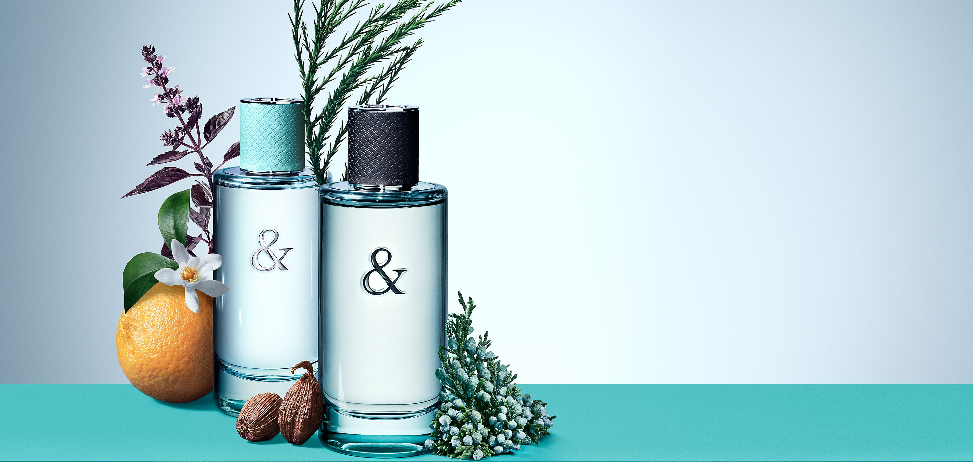 ティファニー&ラブ オードトワレ FOR HIM、1.6オンス(約50ML ティファニー&ラブ オードトワレ FOR HIM、1.6オンス(約50ML