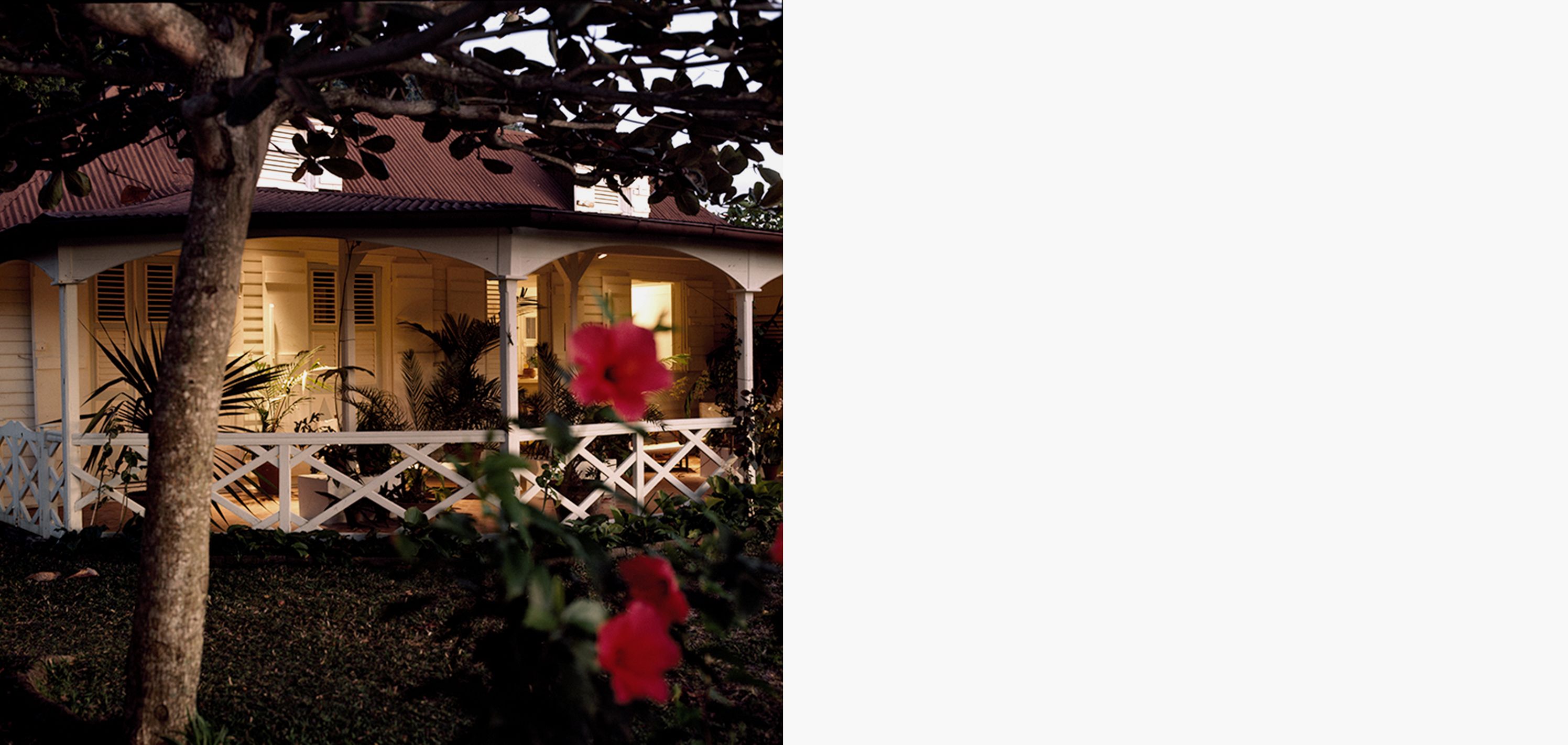 «Все чувства питают творческий дух». 