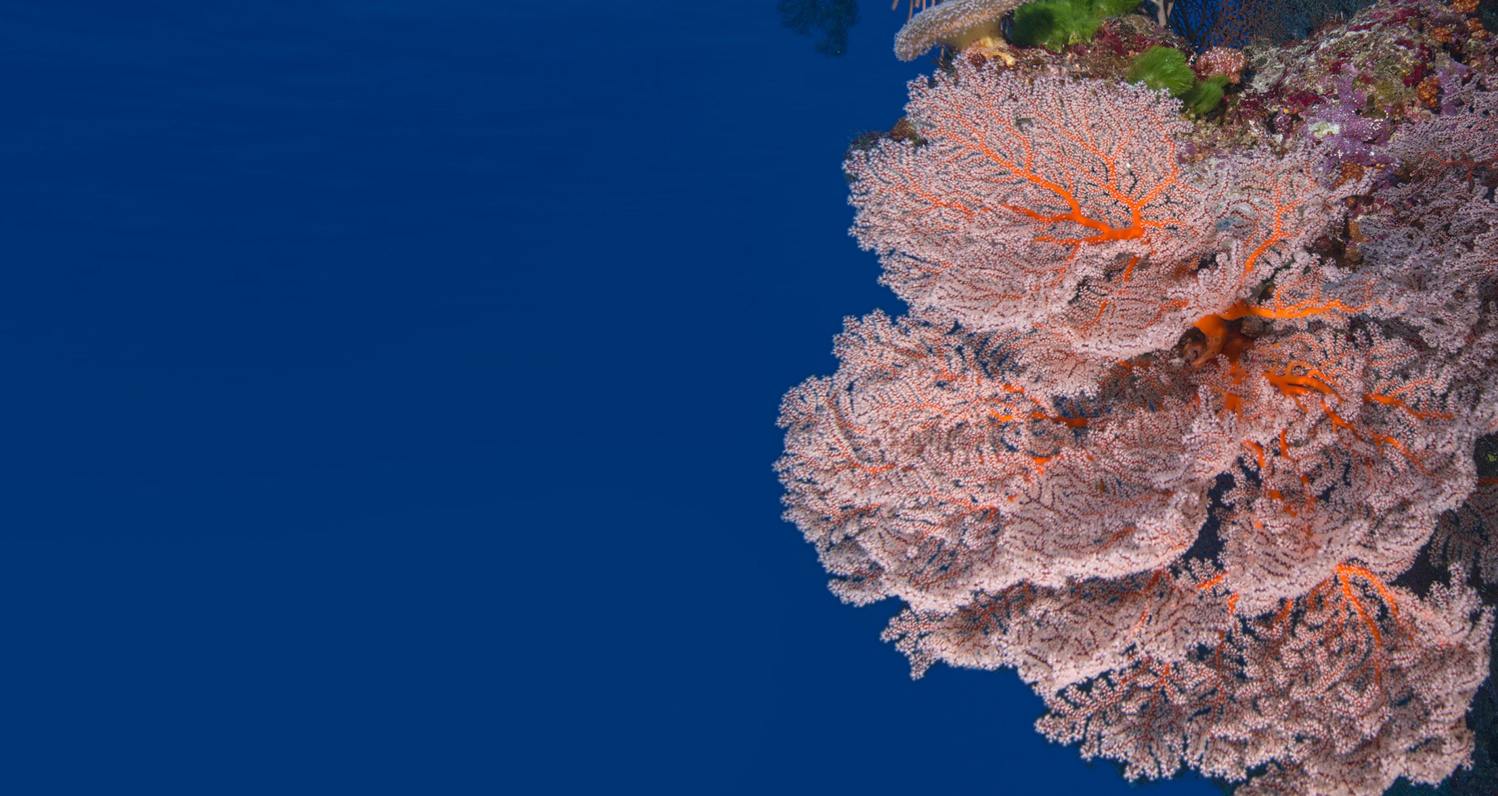 Значение управления