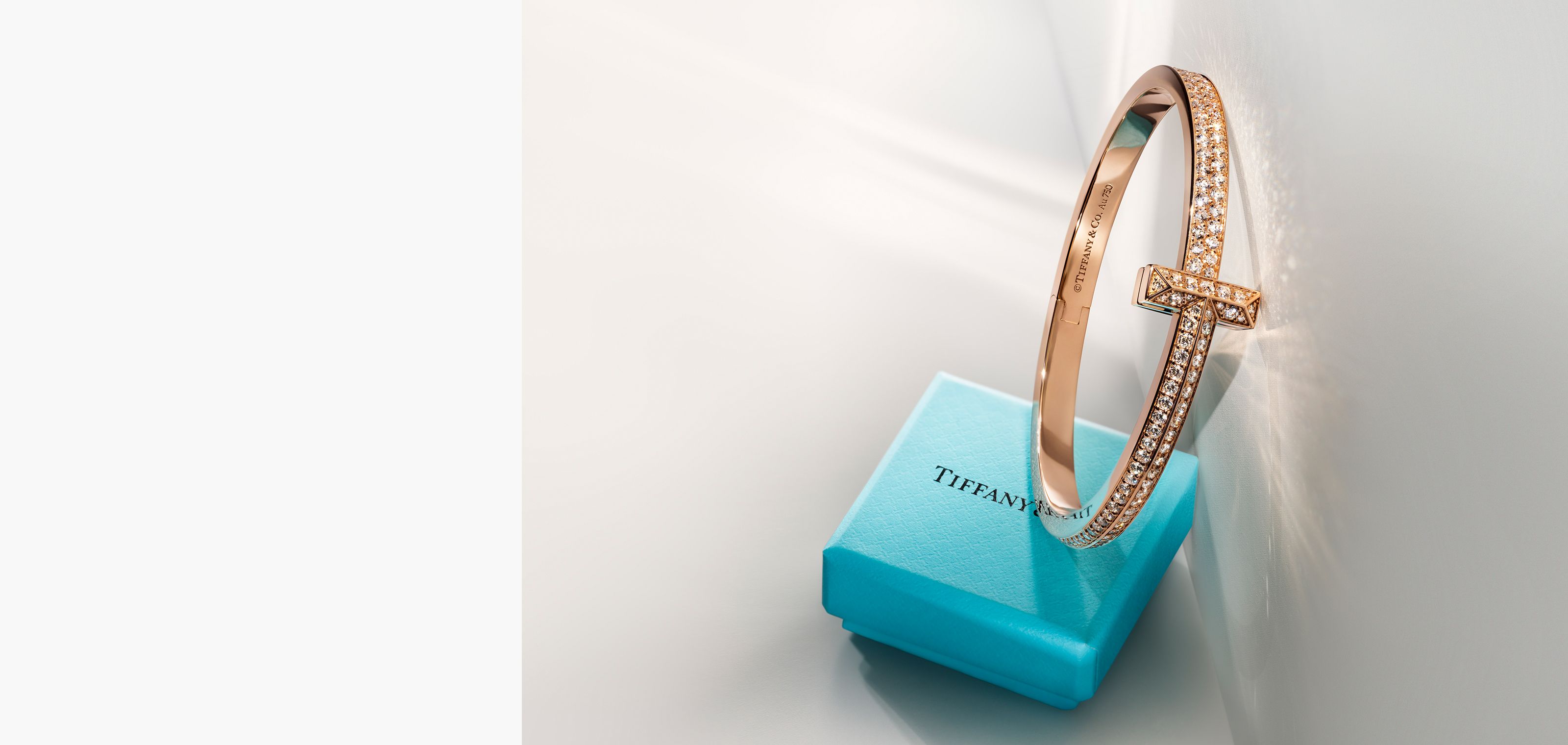 ティファニー T バー ピアス 18K ホワイトゴールド | Tiffany & Co.