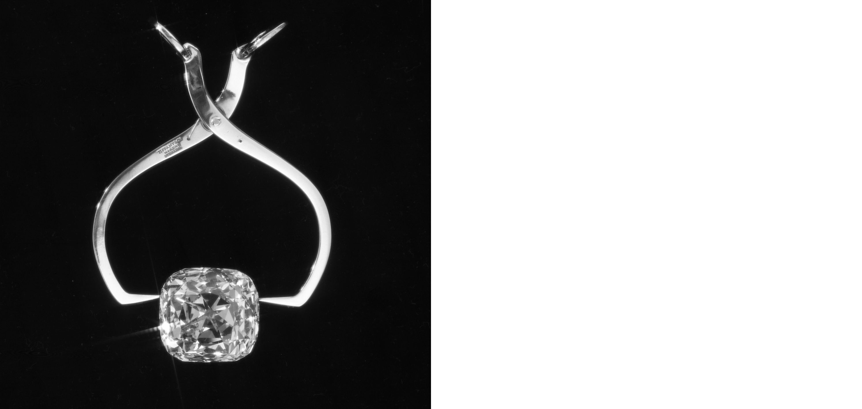 Rock on: Tiffany & Co unveils its most expensive diamond in