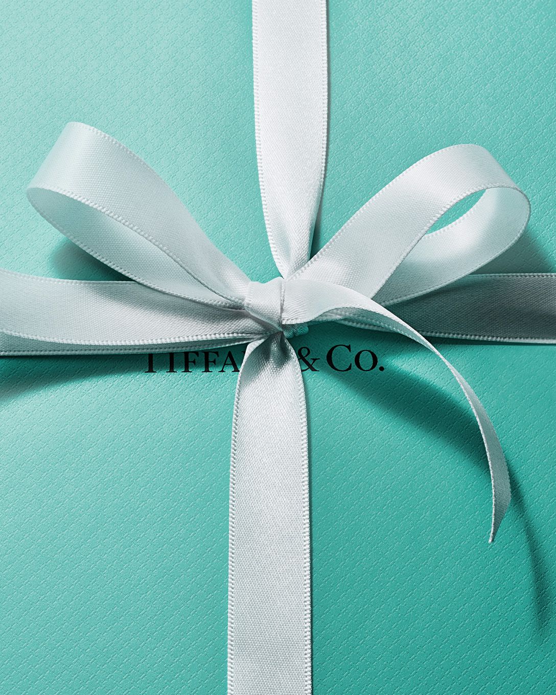 Tiffany and co on sale blue