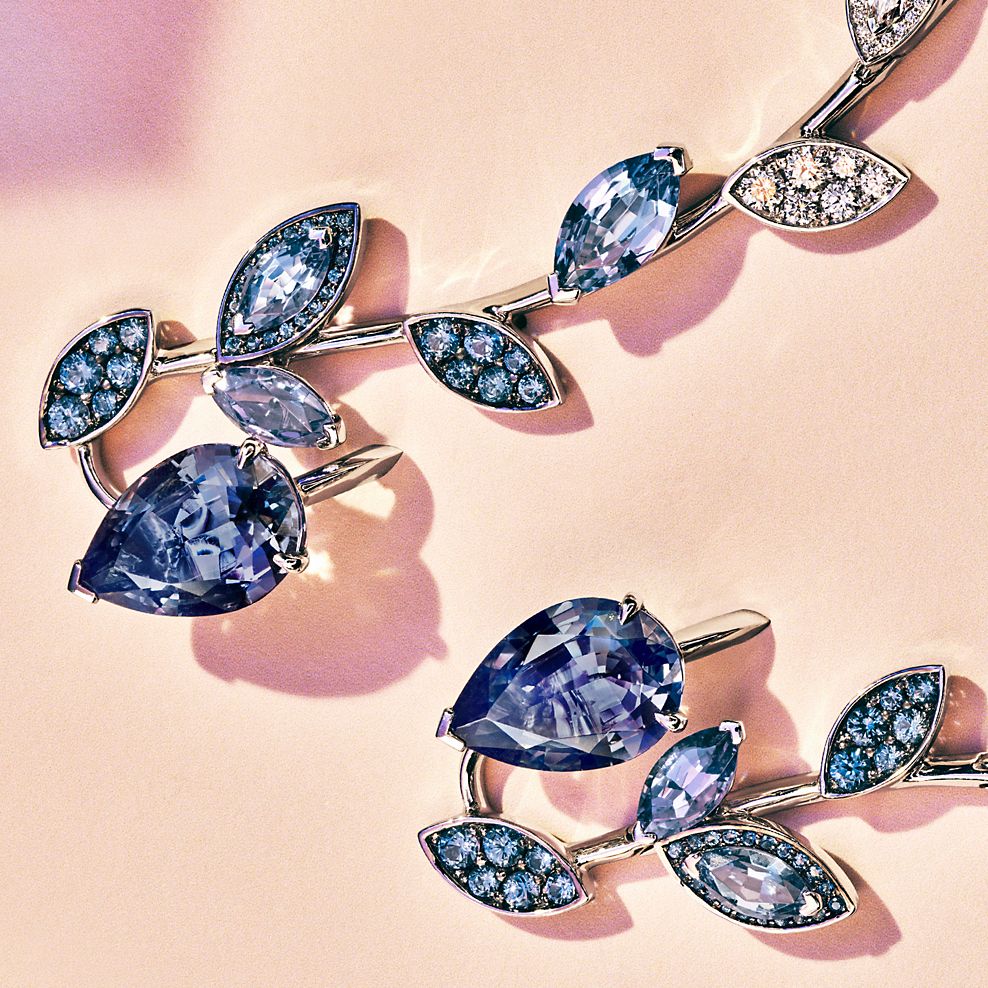 Tiffany & Co. Dazzling Discoveries