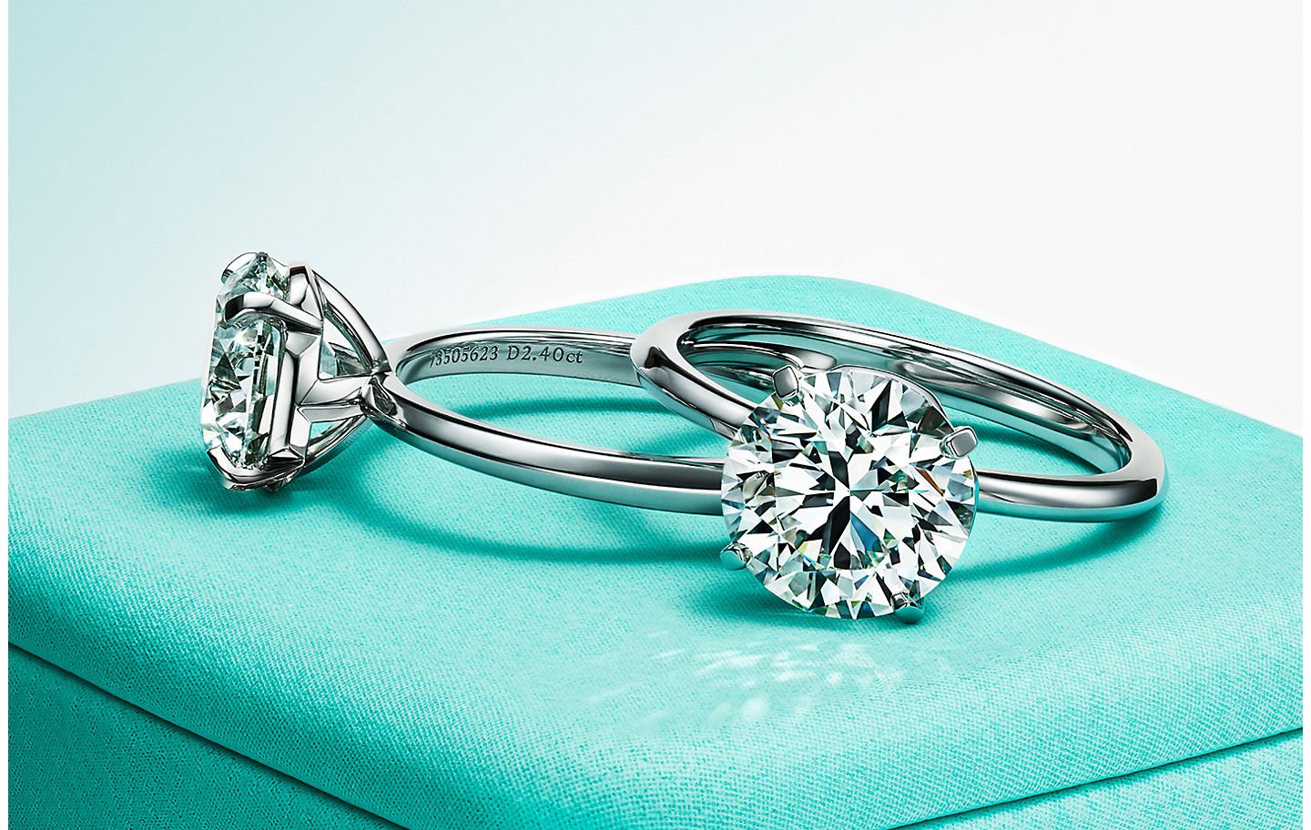 boycot Echt Vervelend Engagement Ring Styles and Settings | Tiffany & Co.